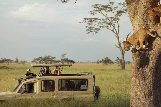 4 Day Great Migration Safari Serengeti & Ngorongoro Crater - Why This 4-Day Great Migration Plan Works When Time Is Tight