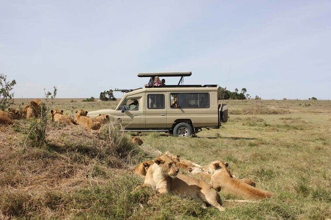 4 Day Great Migration Safari Serengeti & Ngorongoro Crater - Day 3: More Serengeti Variety, Then a Ngorongoro-Nearby Overnight