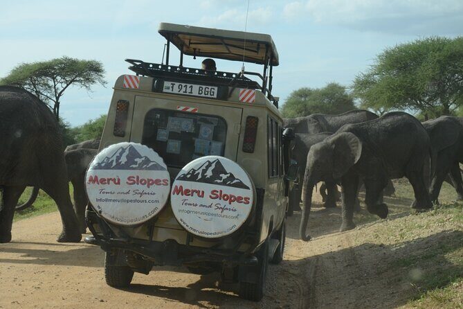 4-Day Lodge Private Tour to Tarangire, Serengeti and Ngorongoro - What to expect in the jeep (and how to make the ride better)