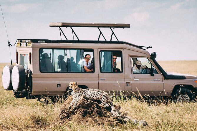 4 Day Ngorongoro Crater Tarangire and Serengeti National Park - Day 4 Ngorongoro Crater: 650 Meters Down for a Half-Day Wildlife Tour