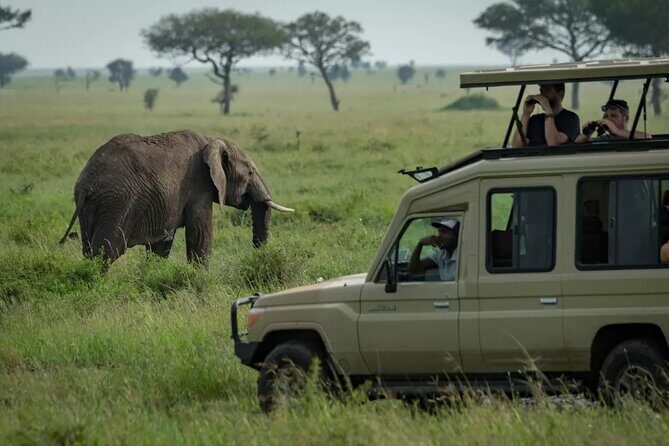 4 Day Ngorongoro Crater Tarangire and Serengeti National Park - The Guides and Spotting Power That Make the Drives Work