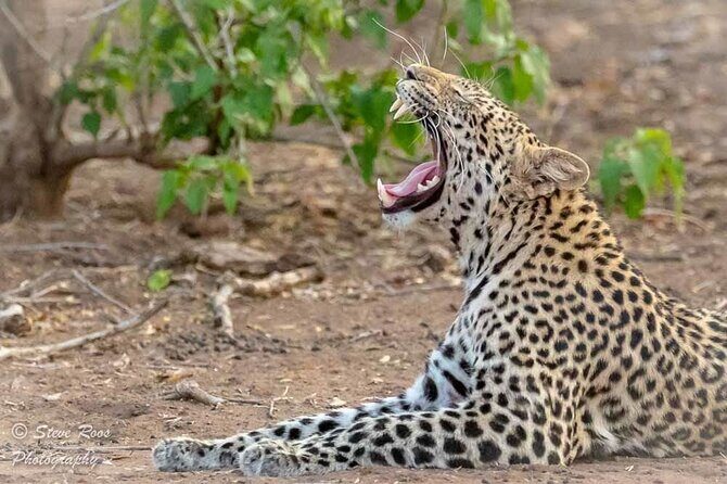 4-Day Safari to Tarangire ,Serengeti and Ngorongoro crater from Arusha - Sunrise Safari Circuit: Tarangire, Serengeti, and Ngorongoro