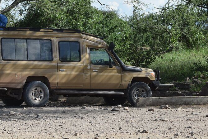 4-Day Safari to Tarangire ,Serengeti and Ngorongoro crater from Arusha - Day 4 in Ngorongoro Crater: Black Rhino, Flamingos, and Morning Light