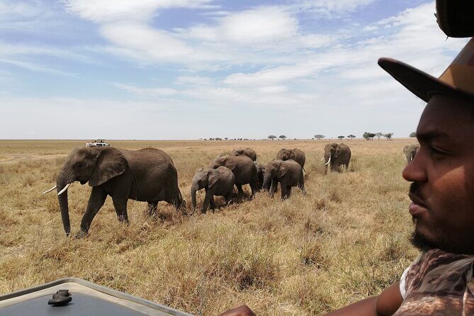 4-Day Safari to Tarangire, Serengeti and Ngorongoro from Arusha - Join a group - Day 2 to Serengeti: The Drive In Sets Up the Plains Experience