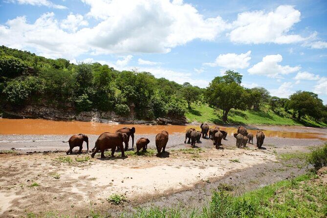 4-day Tanzania Safari - Key things that make this safari work