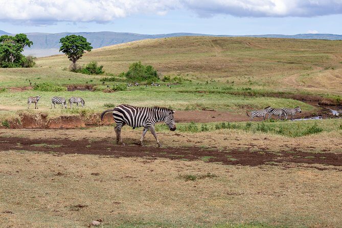 4-day Tanzania Safari - Day 1: JRO arrival and your Arusha base at Mount Meru Hotel