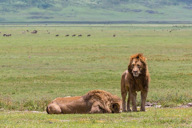 4-day Tanzania Safari - Day-by-day: what you’ll actually do