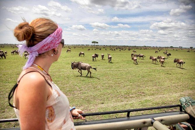 4 Days 3 Nights Tarangire Serengeti & Ngorongoro Lodge Safari - Serengeti National Park: morning drives, then a fast switch to Ngorongoro