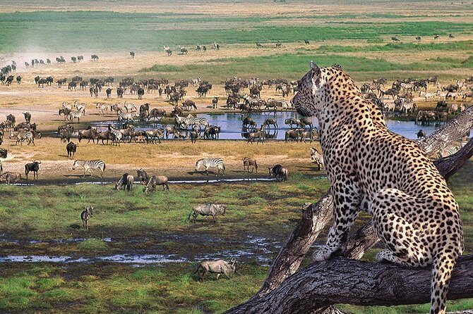 4 Days 3 Nights Tarangire Serengeti & Ngorongoro Lodge Safari - Lodges, meals, and staying sane during long days
