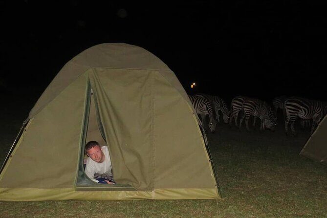4 days adventure camping safari - Day-by-day: Tarangire’s lion and cheetah odds