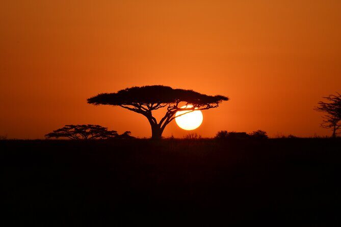 4 days adventure camping safari - Ngorongoro Crater viewpoint to Maasai village add-on