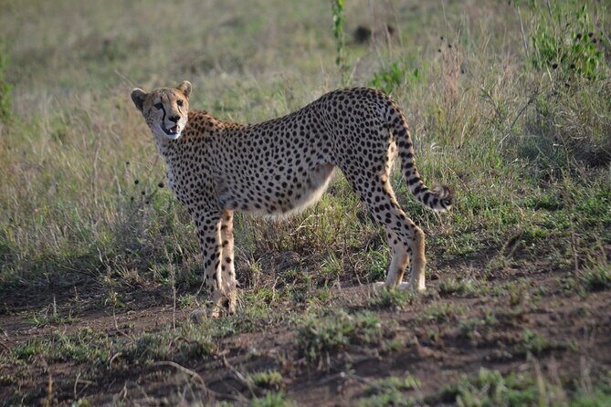 4 days adventure camping safari - Camping setup and what “rough it” really means here