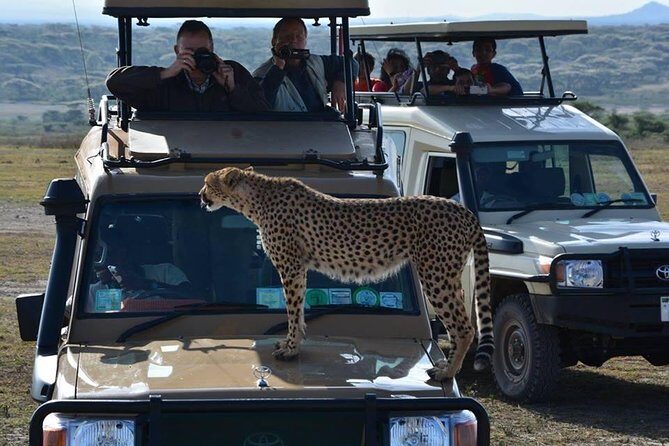4-Days Adventure Camping Safari to Tarangire, Serengeti & Ngorongoro - What You’re Really Buying for $1,199 in Arusha