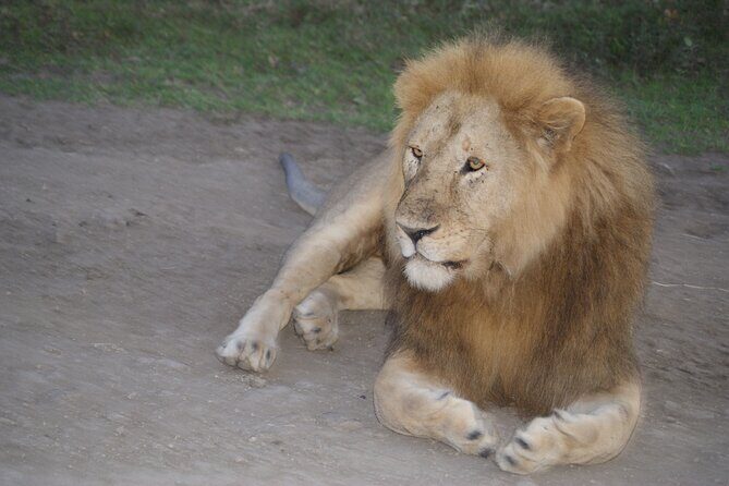 4 Days Group Camping Safari - Key things to know before you go