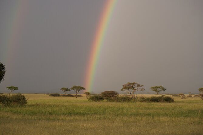 4 Days Group Camping Safari - Price and value: is $900 for 4 days fair?