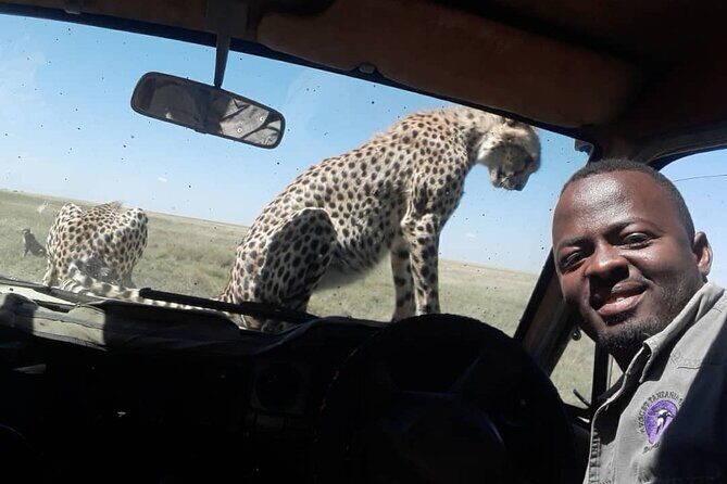 4 Days Group Joining Camping Safari to Tarangire Serengeti Ngorongoro Crater - The guide factor: when things click, you feel it fast