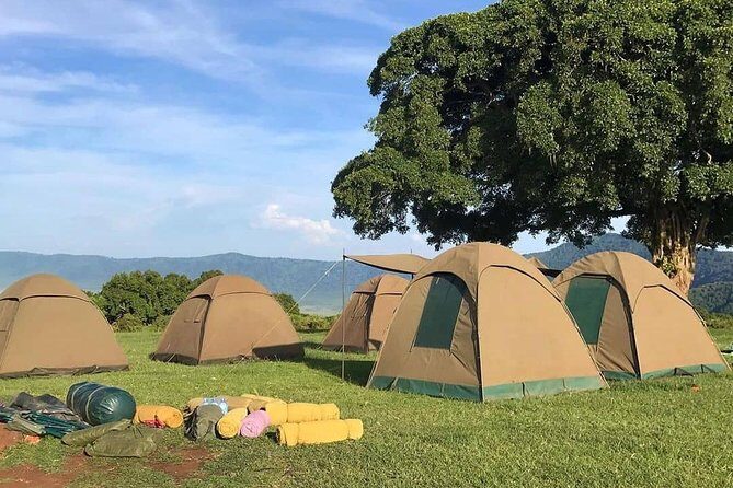 4 Days Join Group tour Tarangire Serengeti and Ngorongoro crater - Serengeti game drive day: Big Five odds and unfenced viewing