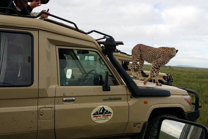 4 Days Join Group tour Tarangire Serengeti and Ngorongoro crater - What to pack for game drives, campsite nights, and cold surprises