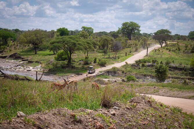 4 Days lodge &camping Tarangire,Serengeti, Ngorongoro Safari Tour - Comfort on safari: camping gear, meals, and the chef factor