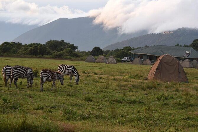4 Days lodge &camping Tarangire,Serengeti, Ngorongoro Safari Tour - Group size and guiding style: why max 6 matters