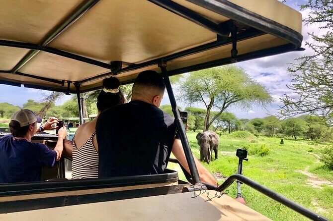 4 Days lodge safari Tarangire , Ngorongoro crater & Walking - Guides and spotting power: what makes this tour work