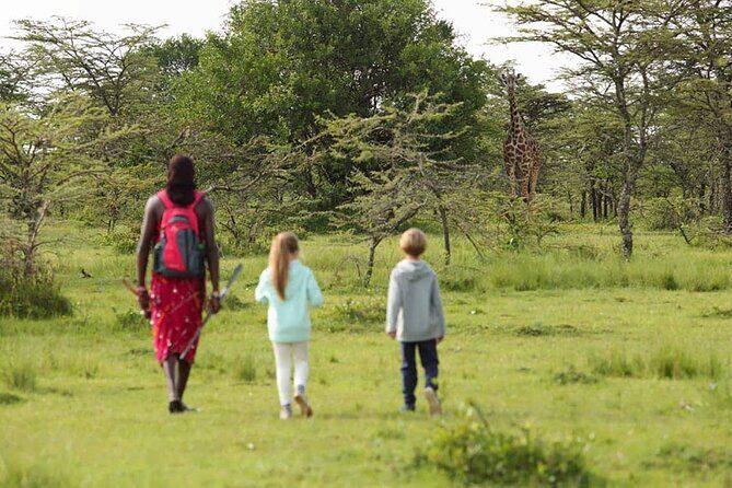 4 Days lodge safari Tarangire , Ngorongoro crater & Walking - Tarangire’s elephant-and-baobab focus: why the game drive feels different