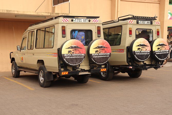 4 Days Private Safari - Tarangire, Serengeti & Ngorongoro Crater - Camping Comfort: Waterproof Tents, Mosquito Nets, and Real Expectations