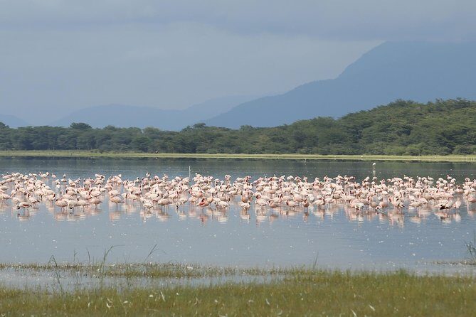 4 days safari in Tanzania - Olduvai Gorge on the way to Ngorongoro: human evolution, not just animals