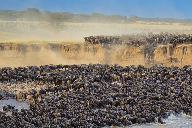 4 days safari in Tanzania - Guide and cook power: what actually improves your safari day