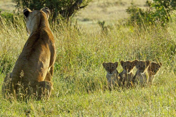 4 days safari in Tanzania - Price and value: what $1,700 covers and what you still plan for