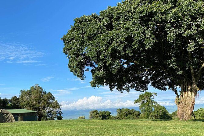 4 Days safari Tour Tanzania - Sunrise Serengeti and the long day to Ngorongoro