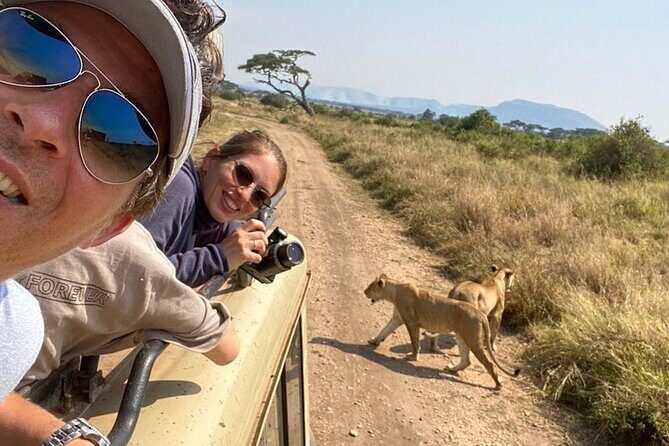4 Days safari Tour Tanzania - Ngorongoro Crater: descending for rhino, flamingos, and big herds