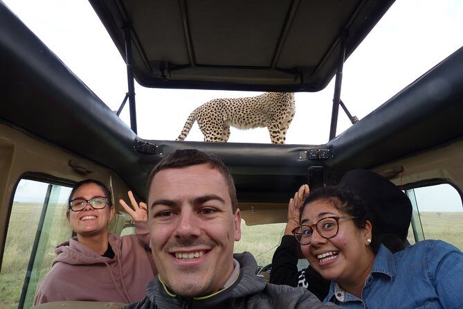 4 Days safari Tour Tanzania - How to spot more wildlife from a pop-roof jeep