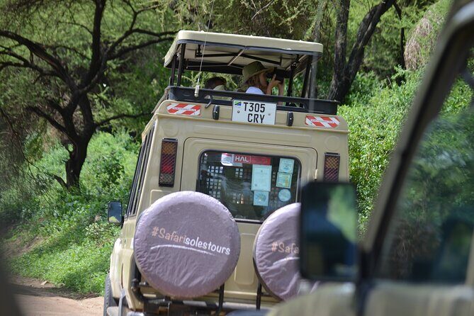 4 days serengeti & ngorongoro mid range tour - Day 1 in Tarangire: Lions, Cheetahs, Leopards, Plus the Herbivore Parade