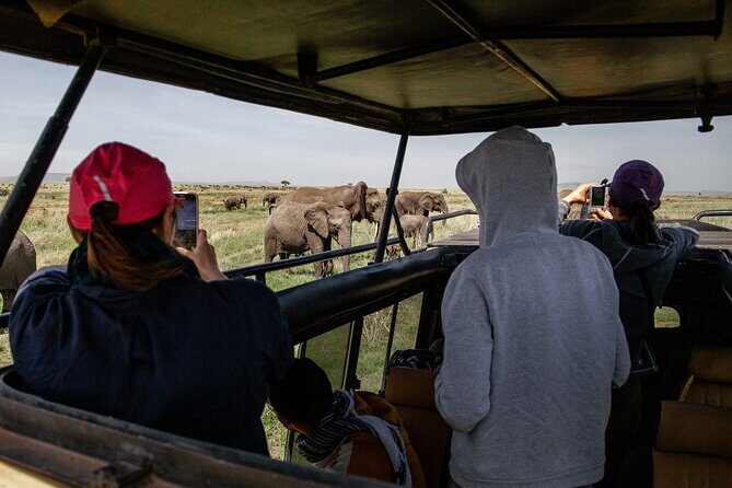 4 Days Tanzania Budget Safari - Day 2 at Lake Manyara: birds, flamingos, and the comedy of baboons