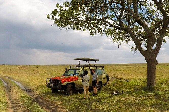 4 Days Tanzania Budget Safari - Getting the most from game drives without burning out