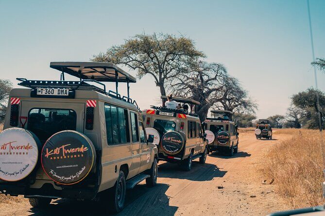 4 Days Tanzania Budget Safari - Day 1 in Tarangire National Park: elephants, river focus, and camp inside the action
