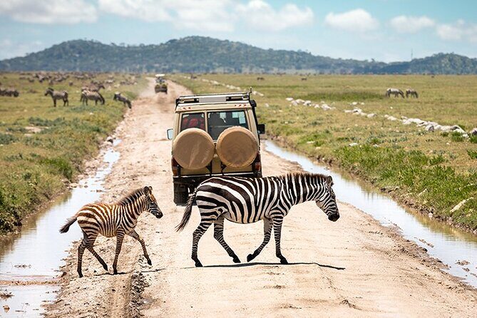 4 Days Tanzania Camping Safari - What’s included on this camping safari (and what it means for your day)