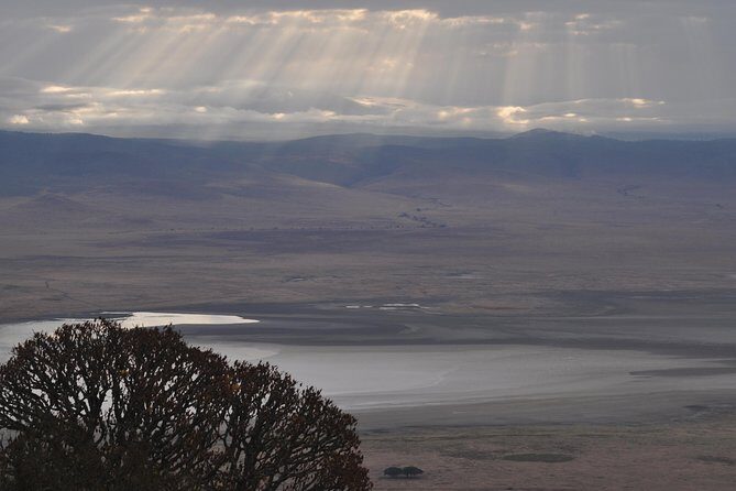 4 days Tanzania group safari to Serengeti, Crater and Tarangire - Day 4: Ngorongoro Crater at first light for rhinos, hippos, and flamingos