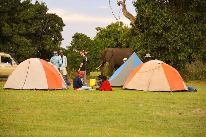 4 days Tanzania group safari to Serengeti, Crater and Tarangire - Price and logistics: what $950 buys, and what you still pay for