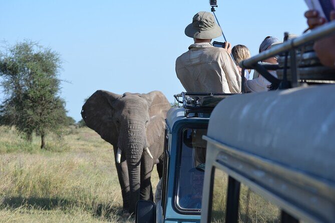 4 Days Tanzania Lodge Safari With Two Nights at Serengeti - Four Days, Three Parks: What This Route Gets You