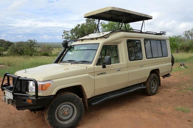 4 days Tarangire, Serengeti & Ngorongoro - Tarangire National Park: a first drive with big-animal energy