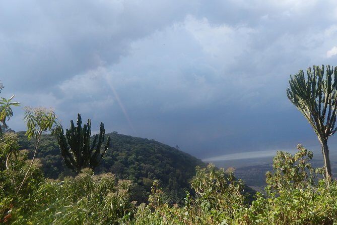 4 days Tarangire, Serengeti & Ngorongoro - Ngorongoro crater floor: the Big Five push you plan around