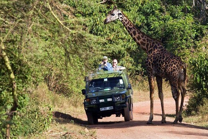 4 Days Tarangire Serengeti Ngorongoro Crater - Camping comfort and the David-and-Richard factor