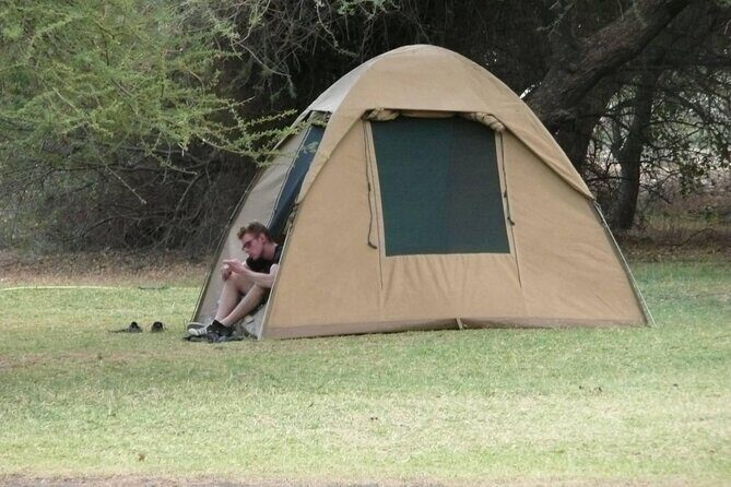 4 Days Wildlife Safari and Cultural Experience in Tanzania - Lake Manyara: tree-climbing lions, pink flamingos, and mixed habitats