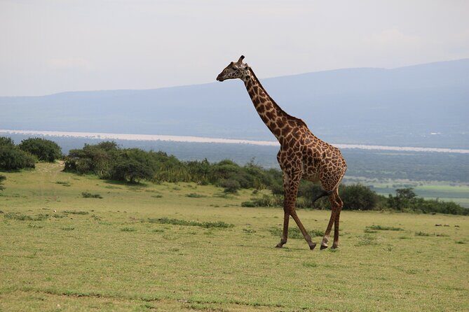 5-Day Highlights mid-Range Crater, Serengeti, Tarangire - Price and value: what you’re really paying for at $2,327
