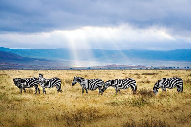 5-Day Majestic Tanzania Safari - High End All Inclusive - Price and what you’re really buying (it’s not just the sticker)