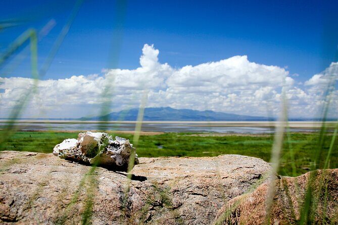 5-Day Majestic Tanzania Safari - High End All Inclusive - Serengeti Day 2 in Seronera: the plains feeling hits