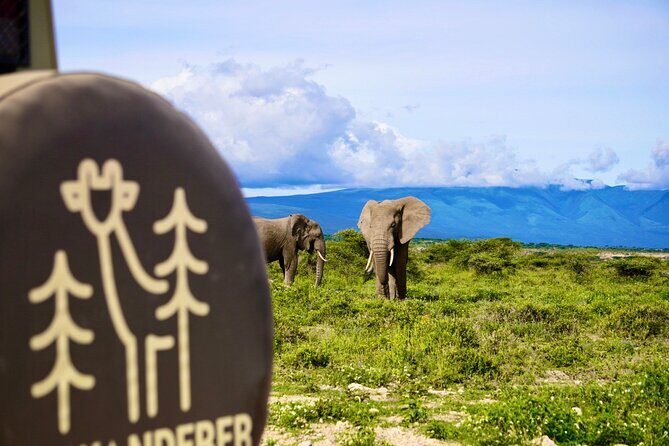 5-Day Mid-Range Safari in Tanzania - Lake Manyara: Rift Valley views, hippos, and flamingo timing