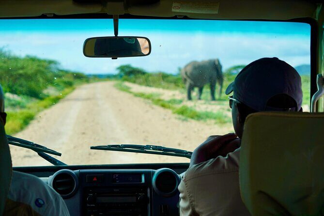 5-Day Mid-Range Safari in Tanzania - Day 5 finish at Kilimanjaro International Airport, plus island extension options